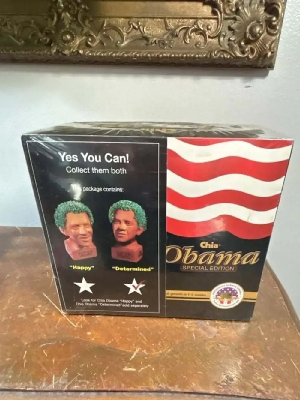 Chia Pet determined he